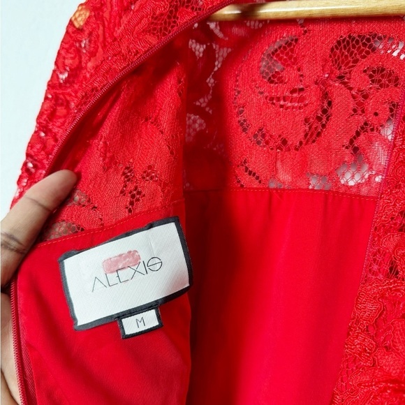 Alexis Fala Dress in Red Lace - Picture 6 of 8
